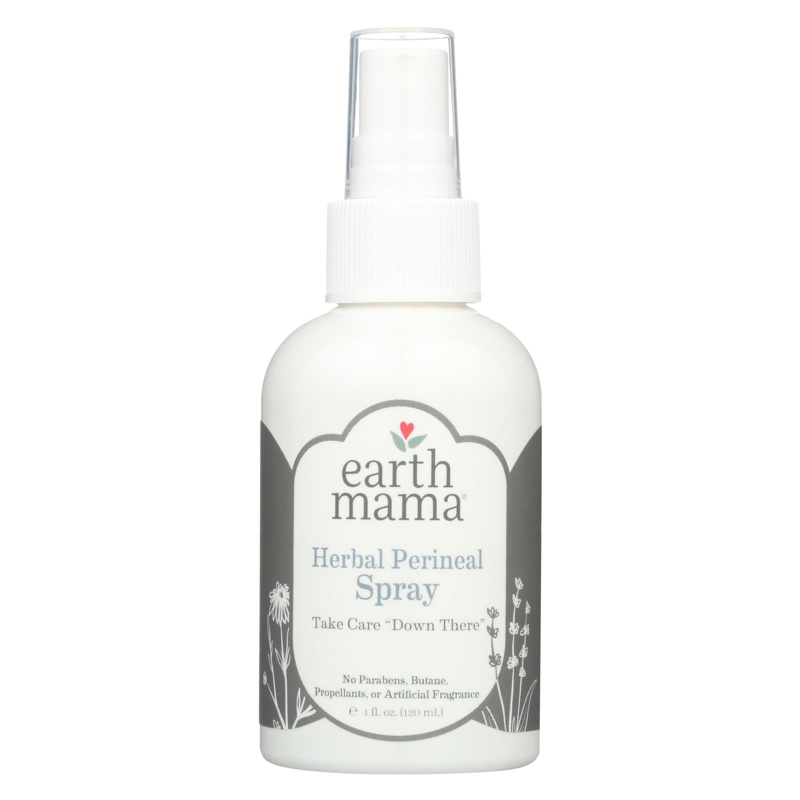 Earth Mama Angel Baby New Mamma Bottom Spray - 4 fl oz