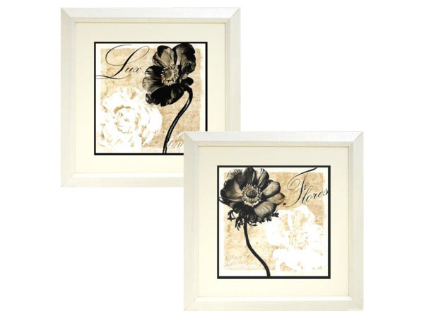 Floral Darkness &amp; Light Framed Artwork: Case of 2