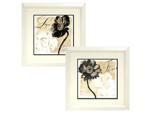 Floral Darkness &amp; Light Framed Artwork: Case of 2